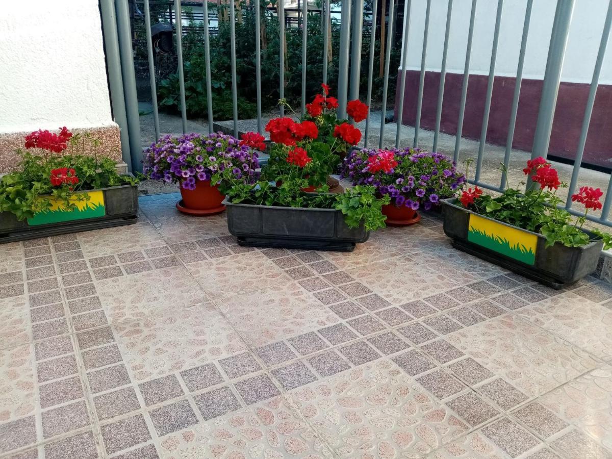 Apartment Elmari Prilep Eksteriør bilde